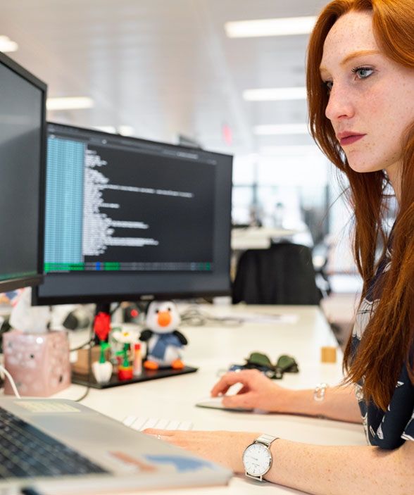 desarrollo software